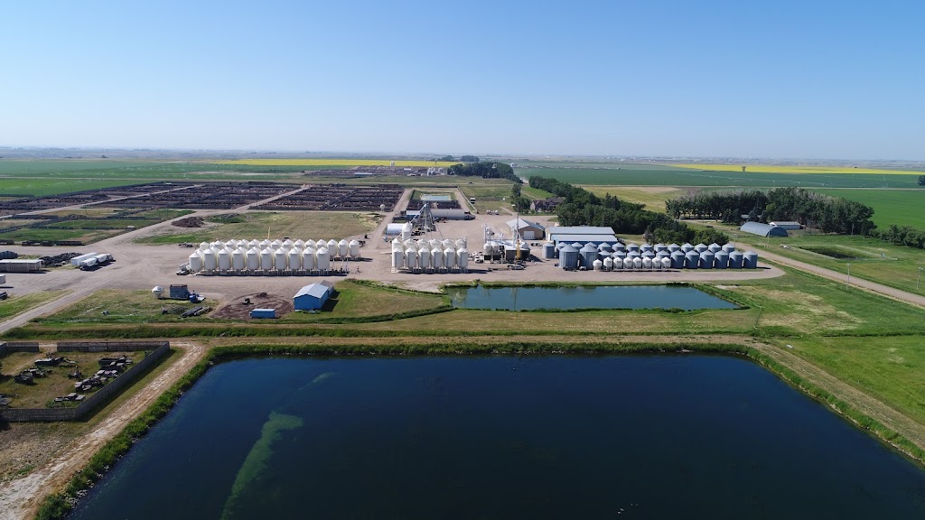 K3 Seeds | 110021, Range Road 20-3, Picture Butte, AB T0K 1V0, Canada | Phone: (403) 738-4517