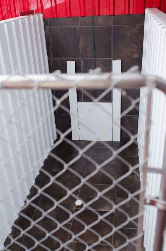 Clifton Royal Dog Boarding Kennels Ltd | 1297 route 845, Clifton Royal, NB E5S 2B7, Canada | Phone: (506) 283-3647
