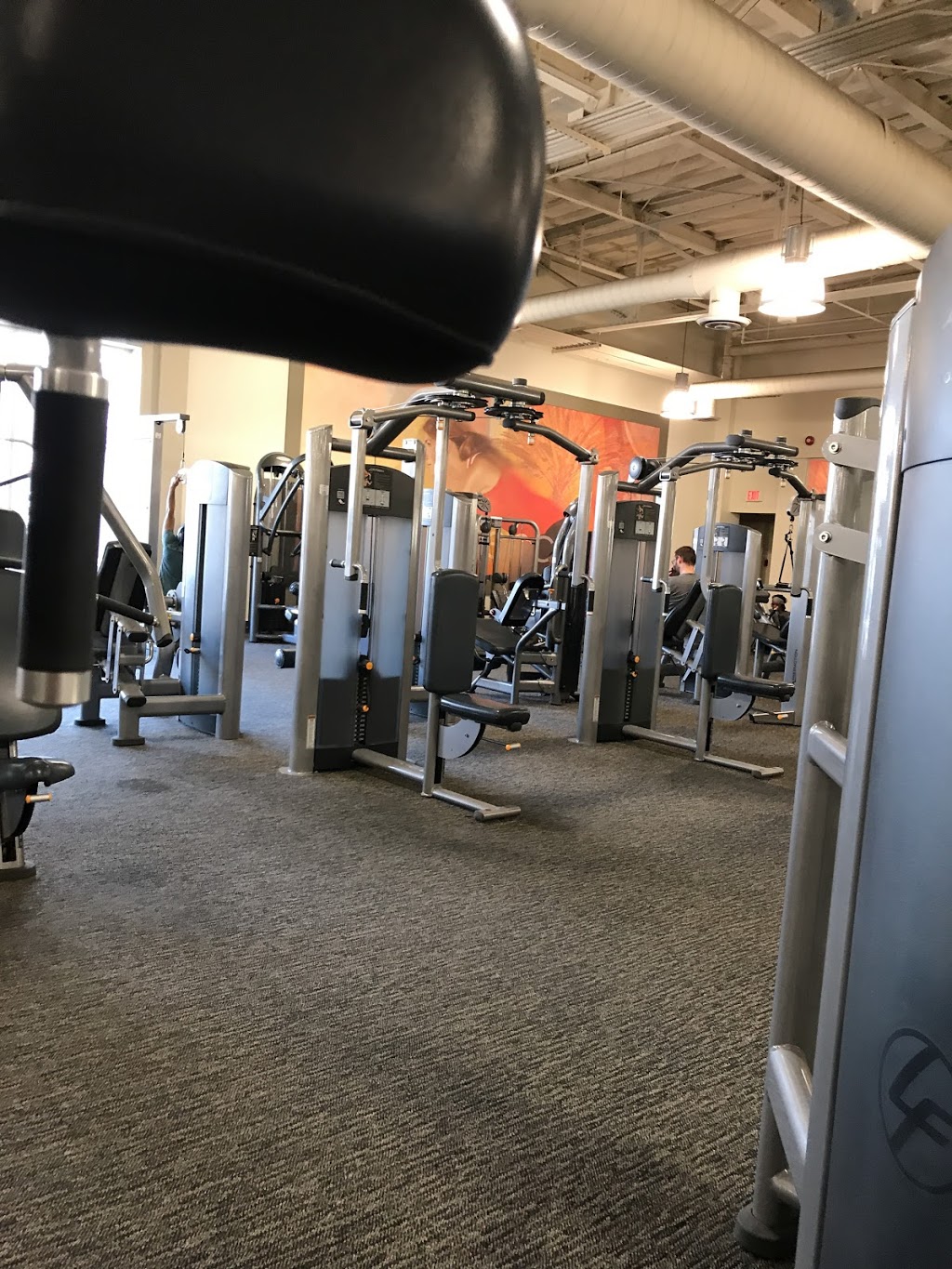LA Fitness | 3003 Danforth Ave unit 40-42, East York, ON M4C 1M9, Canada | Phone: (647) 557-9963