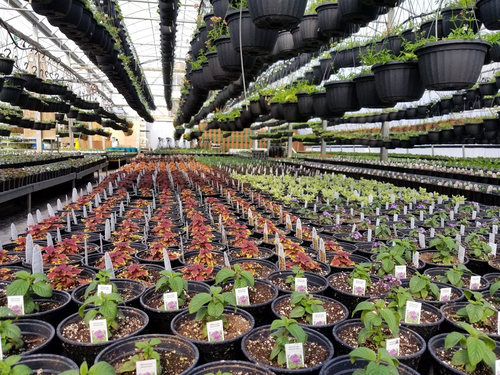 Bloom Greenhouse & Garden Centre | 1421 Hammonds Plains Rd, Hammonds Plains, NS B4B 1P6, Canada | Phone: (902) 832-9268
