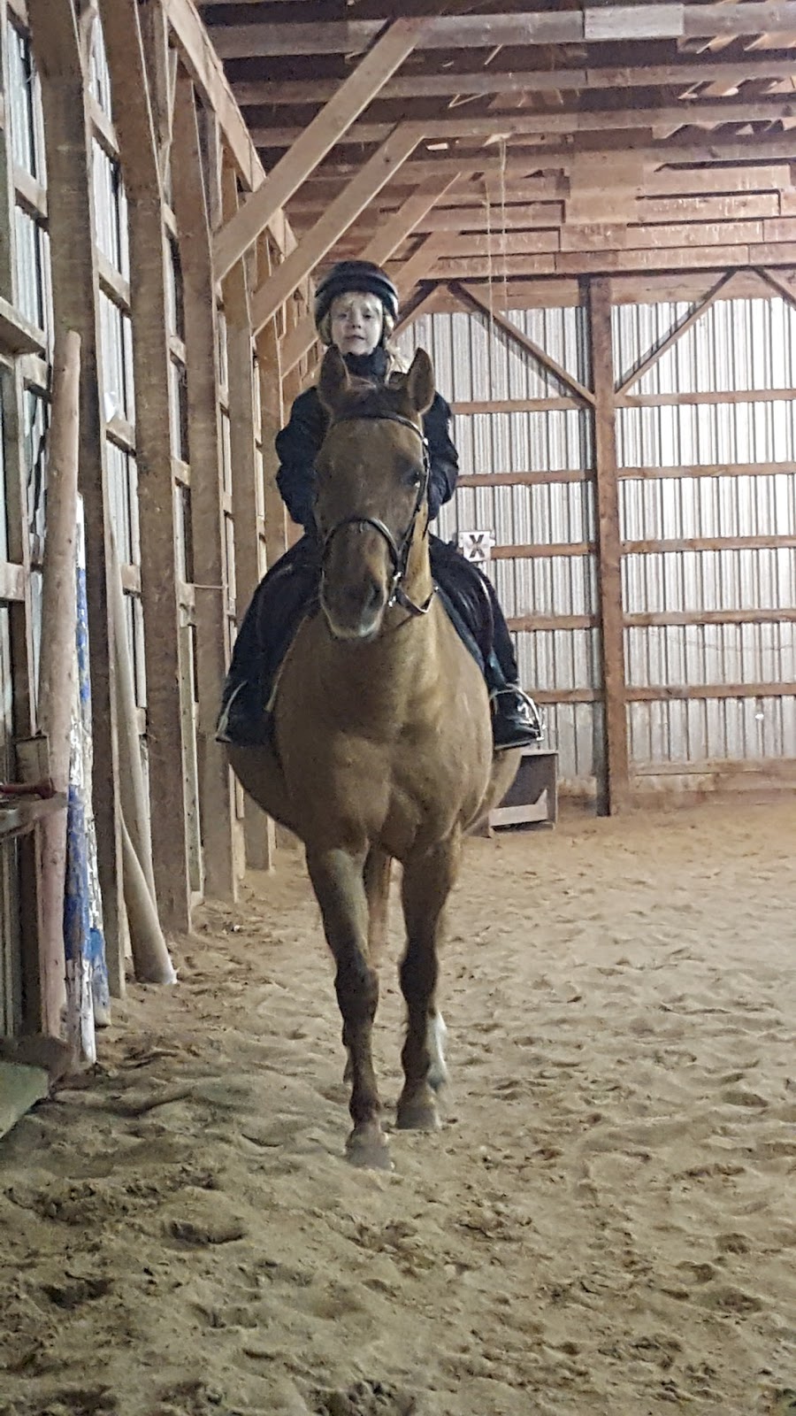 Cedarstone Farm | Concession Rd 2 WGR, West Grey, ON N0G, Canada | Phone: (519) 369-5971
