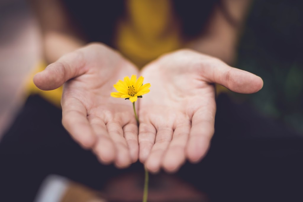 Healing At The Cabin | 8 Lucas Ln, Ottawa, ON K2S 1S5, Canada | Phone: (613) 866-4027