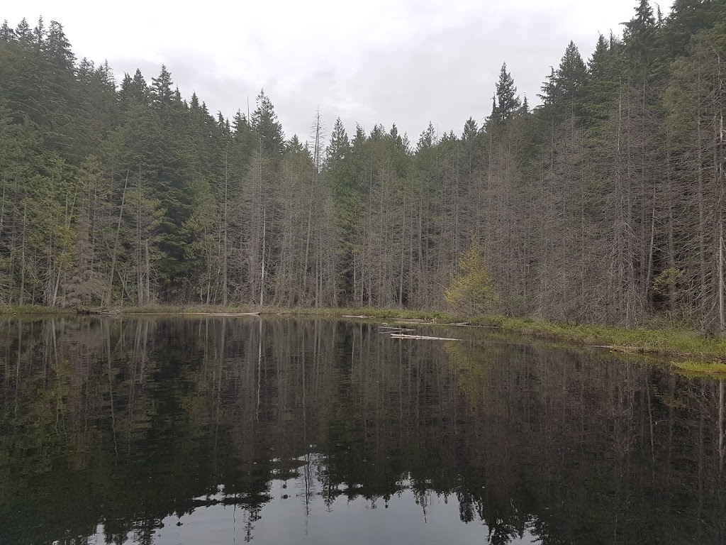 Whyte Lake Trail | West Vancouver, BC V0N 1G0, Canada | Phone: (604) 925-7275