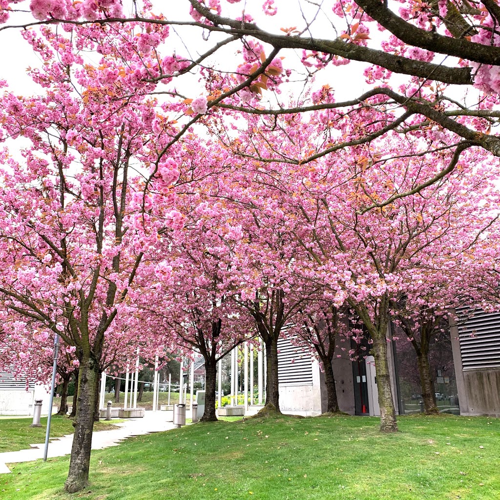 VGH Energy Centre Plaza | Fairview, Vancouver, BC V5Z 4S5, Canada | Phone: (604) 875-4111
