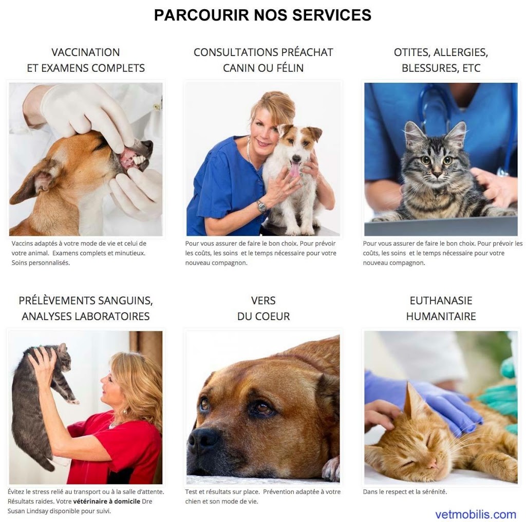 veterinaire a domicile Vetmobilis.com | 1312 Rue de Montarville, Saint-Bruno-de-Montarville, QC J3V 3T4, Canada | Phone: (514) 773-7007