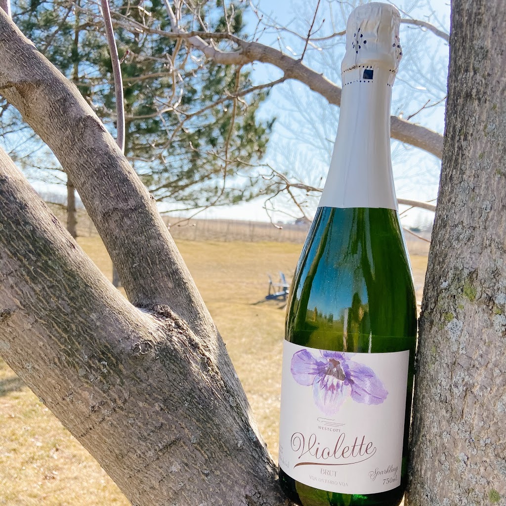 Crush On Niagara Wine Tours | Box 816, 4520 Ontario St, Beamsville, ON L0R 1B0, Canada | Phone: (905) 563-1759