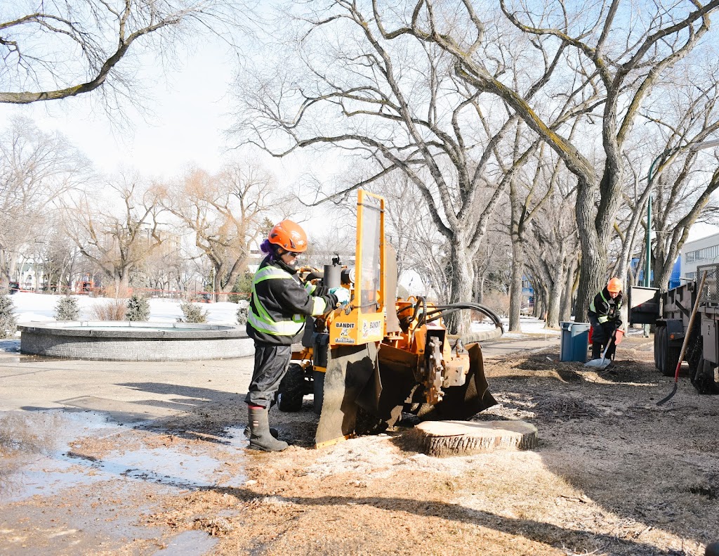 Trusty Tree Services | 11410 2 St, Sherwood Park, AB T8A 6E8, Canada | Phone: (780) 860-5500