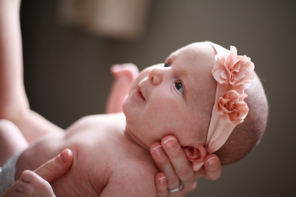 J.Lyon Photography | 40 Green Briar Dr, Collingwood, ON L9Y 5J2, Canada | Phone: (519) 504-7191