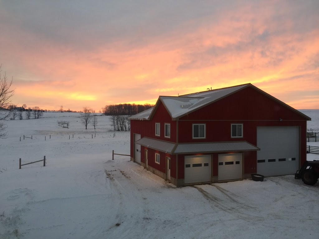 Froese & Company | 65310 4th Sideroad, Meaford, ON N4L 1W5, Canada | Phone: (519) 538-4455
