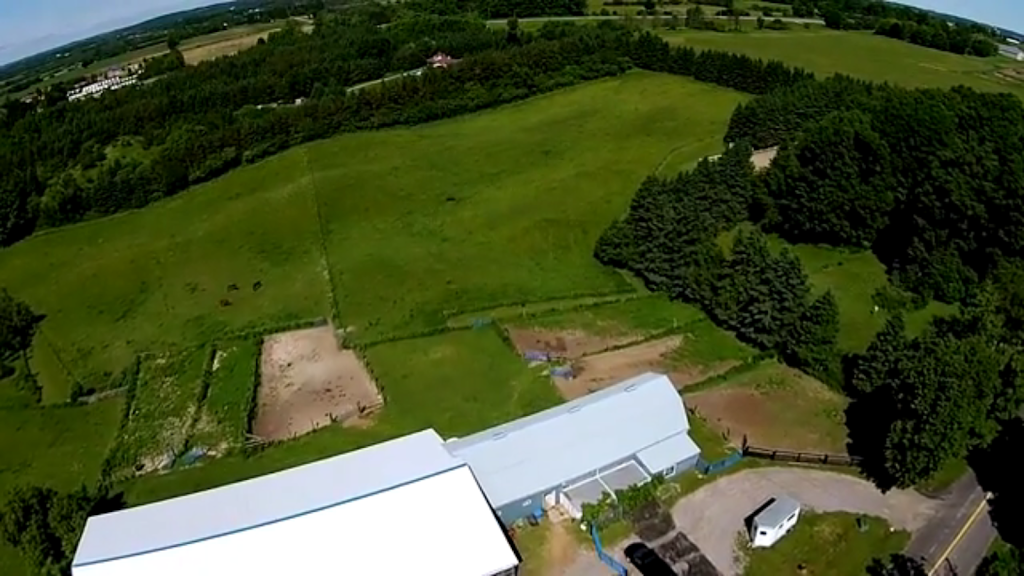 DreamRidge Equestrian | 95 Townline Road East, Port Perry, ON L9L 1B3, Canada | Phone: (416) 716-9464