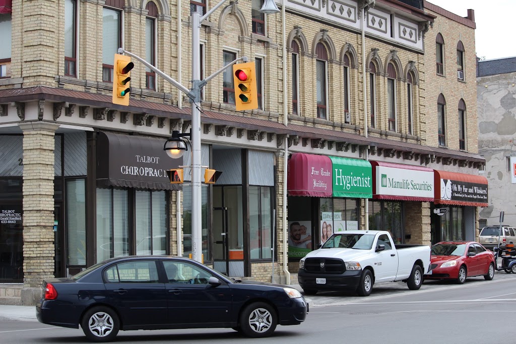 Oh My Fur and Whiskers! | 257 Talbot St, St Thomas, ON N5P 1B3, Canada | Phone: (519) 207-7387