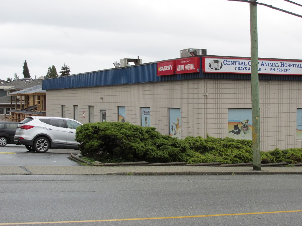 Central City Animal Hospital | 1-7834 6th St, Burnaby, BC V3N 3N2, Canada | Phone: (604) 522-3344