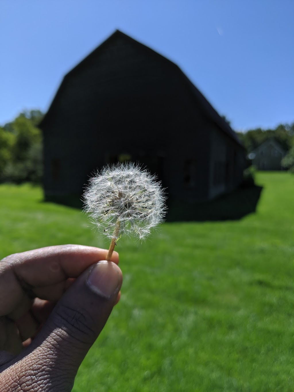 Goodsell Ridge Preserve | 69 Pine St, Isle La Motte, VT 05463, USA | Phone: (802) 862-4150