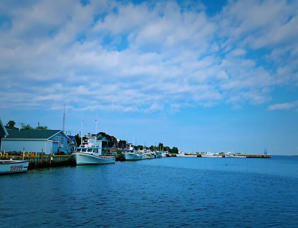 Barry Doucettes Deep Sea Fishing | 52 Harbourview Dr, North Rustico, PE C0A 1X0, Canada | Phone: (902) 393-2695