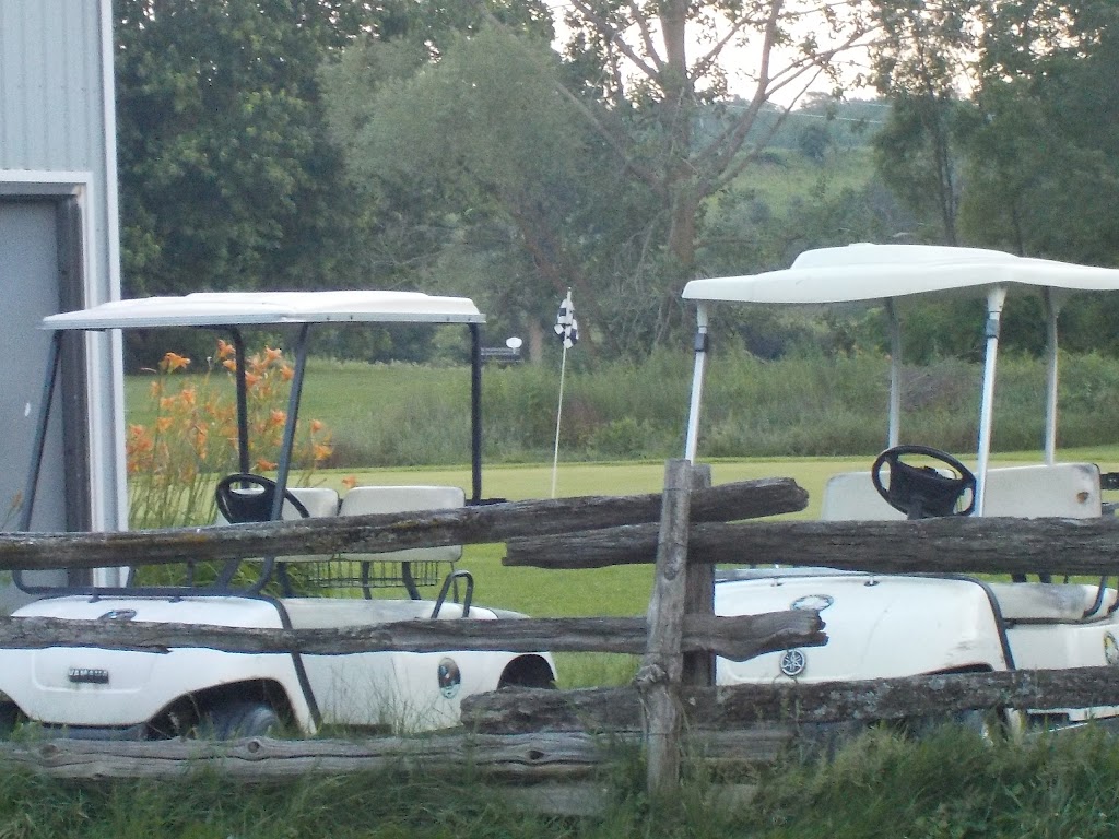 Apollo Valley Golf Club | 2462 Concession 2 Rd W, Troy, ON L0R 2B0, Canada | Phone: (519) 647-2069