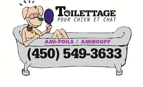 Amis-poils/Amibouff | 1193 Montée de la Rivière, Acton Vale, QC J0H 1A0, Canada | Phone: (450) 549-3633