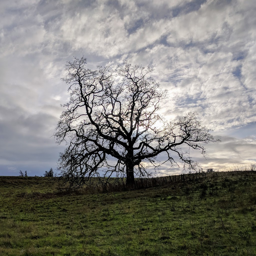 Devonian Regional Park | -4749 Canada, 4705 William Head Rd, Victoria, BC V9C 3Y7, Canada