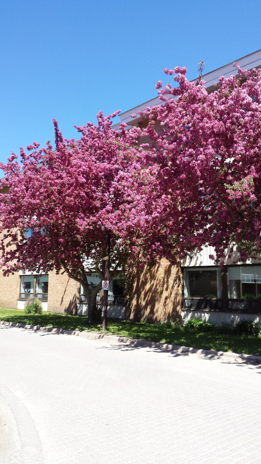 Au Chateau | 100 Michaud St, Sturgeon Falls, ON P2B 2Z4, Canada | Phone: (705) 753-1550
