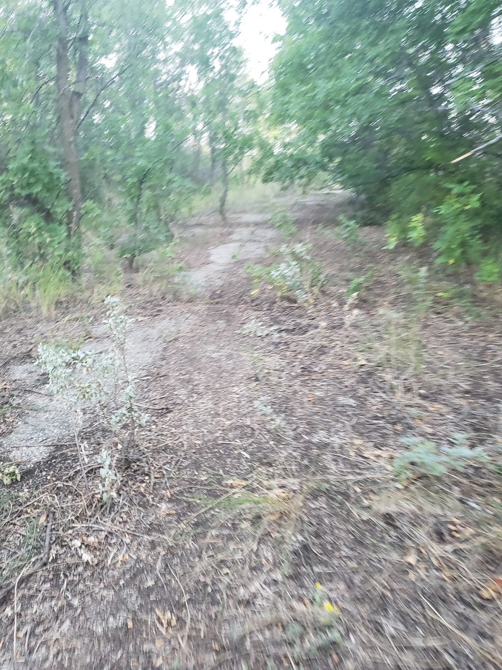 Fairy Hill Trail | Lumsden No. 189, SK S0G 0W0, Canada