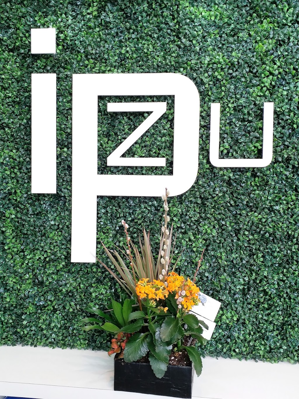 iPZU SPA - ipzu wellness centre | 9980 Kennedy Rd c4, Markham, ON L6C 0M4, Canada | Phone: (905) 534-7188