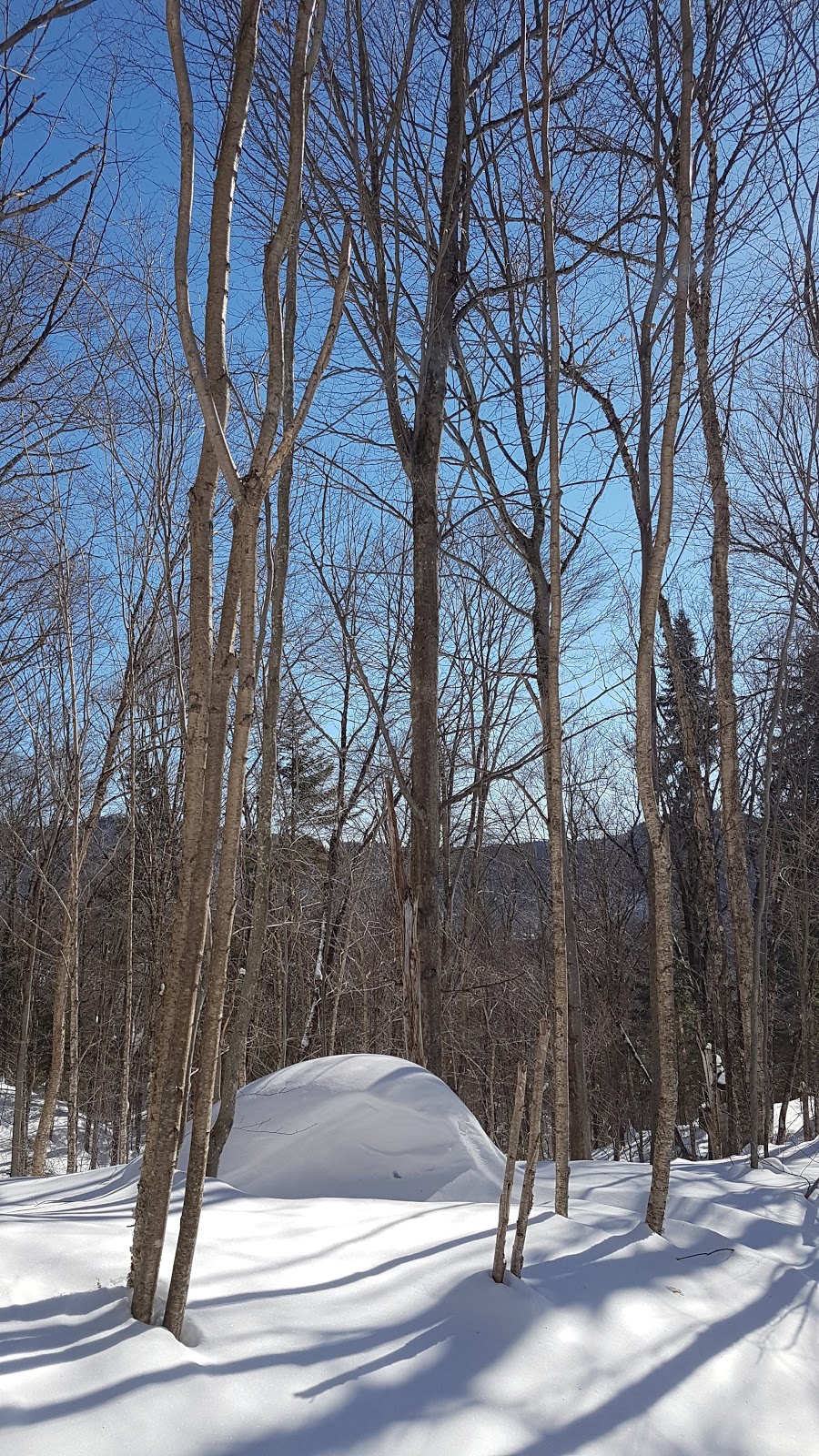 Camping et chalets ETSANHA | 1410 Route du Bras-du-Nord, Saint-Raymond, QC G3L 3J1, Canada | Phone: (418) 337-4184