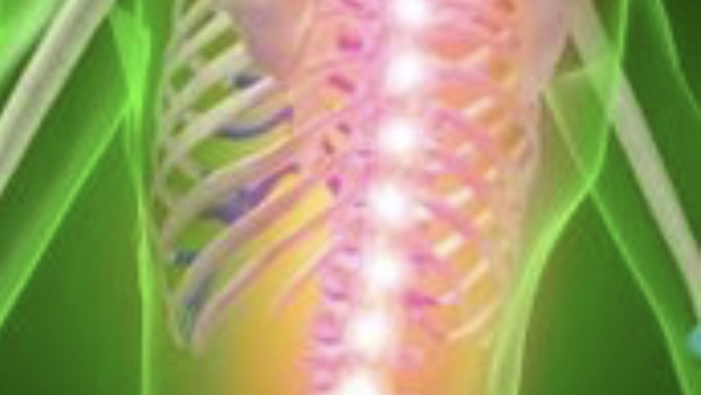 Dr. Mark N. VanVolkenburg DC | 2140 Eggert Rd, Buffalo, NY 14226, USA | Phone: (716) 832-1818