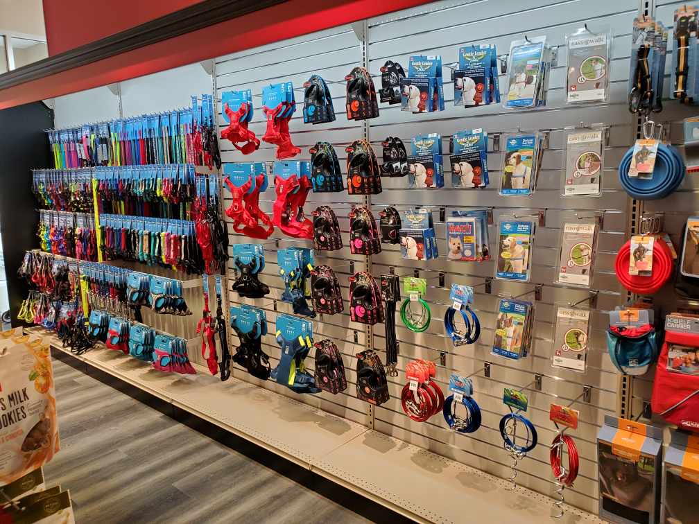 Global Pet Foods Huntsville | 111 Howland Dr, Huntsville, ON P1H 2P4, Canada | Phone: (705) 789-6234