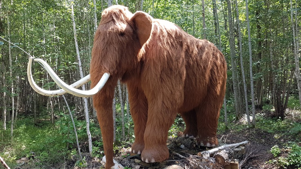 Jurassic Forest | 23210 Township Road 564 #2, Gibbons, AB T0A 1N0, Canada | Phone: (780) 470-2446