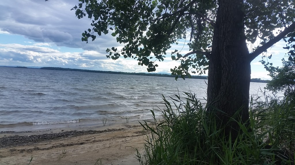 Alburg Dunes State Park | 151 Coon Point Rd, Alburg, VT 05440, USA | Phone: (802) 796-4170