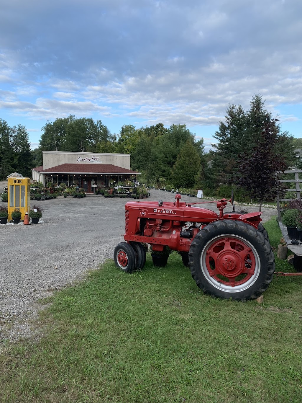 Country Rose Flowers & Garden | 13513 ON-118, Haliburton, ON K0M 1S0, Canada | Phone: (705) 457-3774