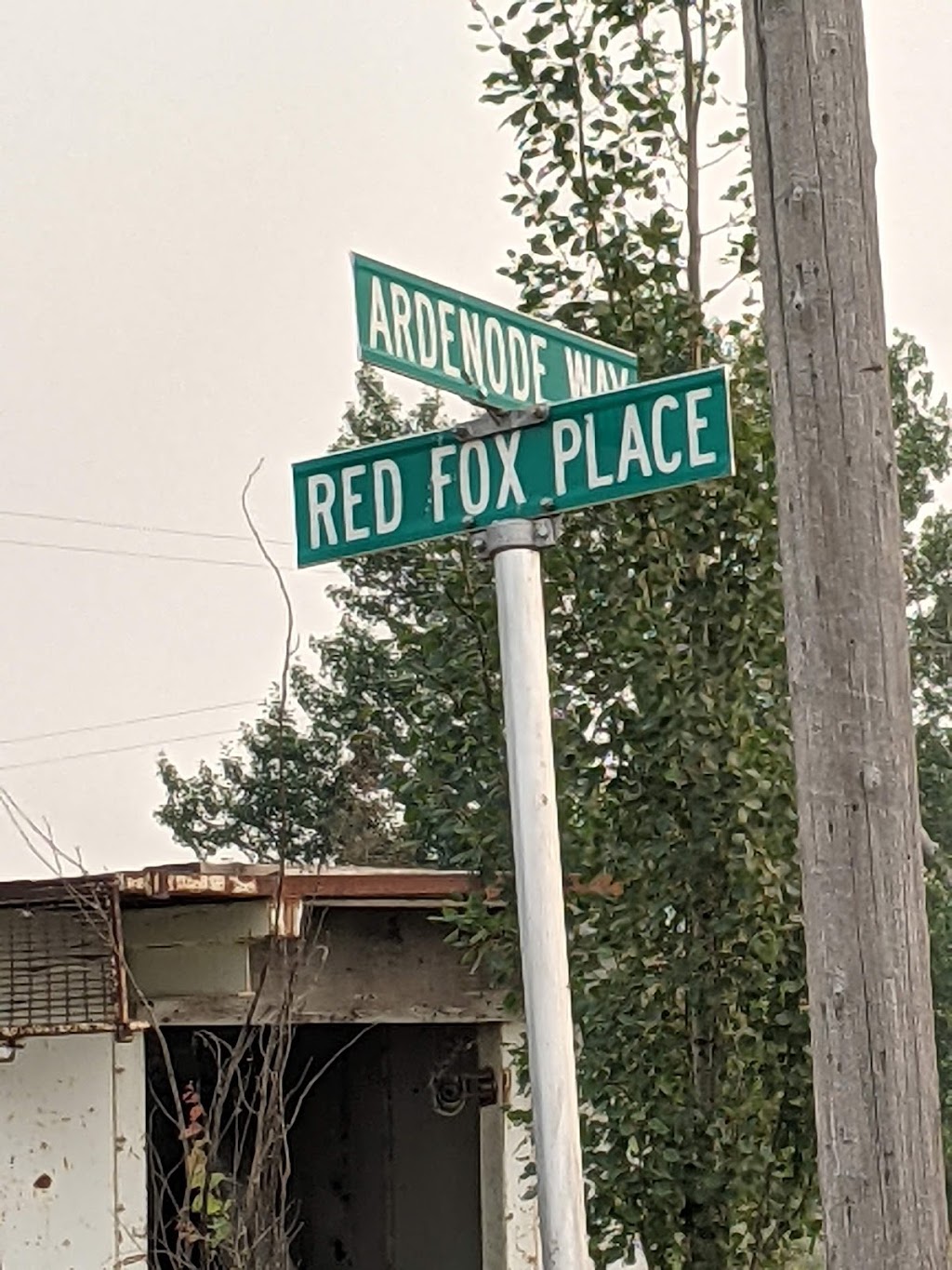 Red Fox Farms | Wheatland County, AB T0J 1Y0, Canada | Phone: (587) 436-7145
