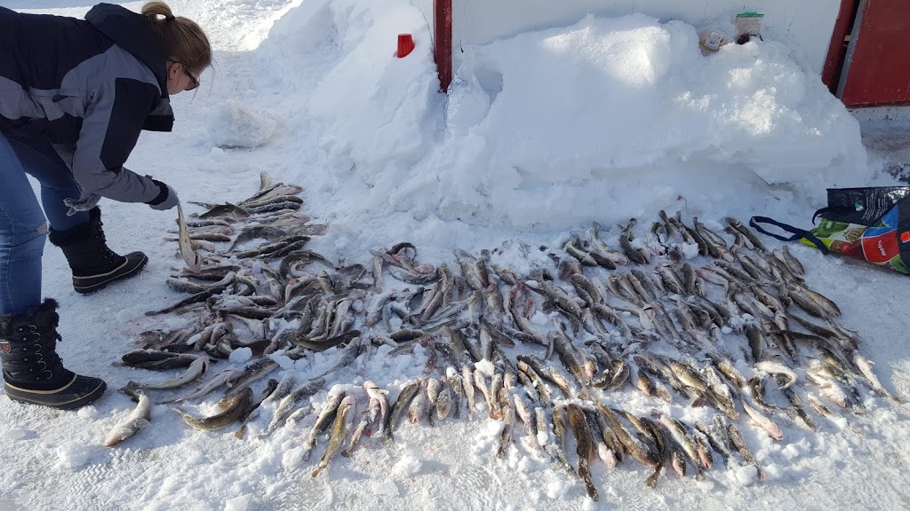 Marceau Guy | 190 5e Av, Sainte-Anne-de-la-Pérade, QC G0X 2J0, Canada | Phone: (418) 325-2187