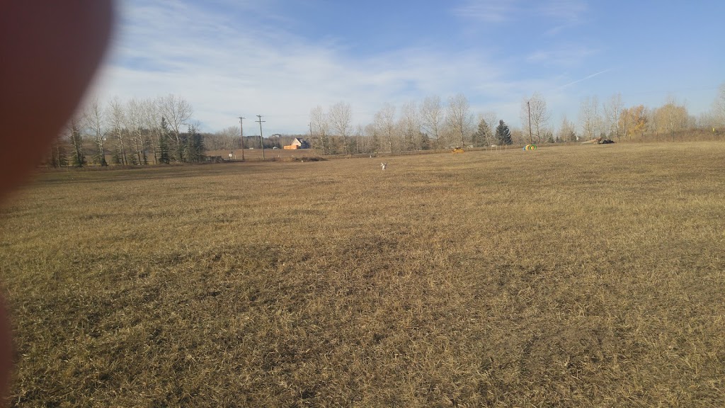 MyWalkies | 17 Dunbow Rd W, De Winton, AB T0L 0X0, Canada | Phone: (403) 921-4415