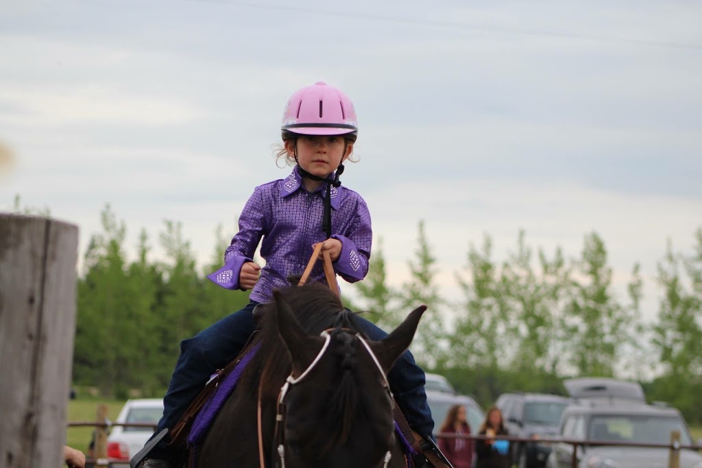 Helstrom Performance Horses | 960 Komarno Rd, Winnipeg Beach, MB R0C 3G0, Canada | Phone: (204) 389-3401