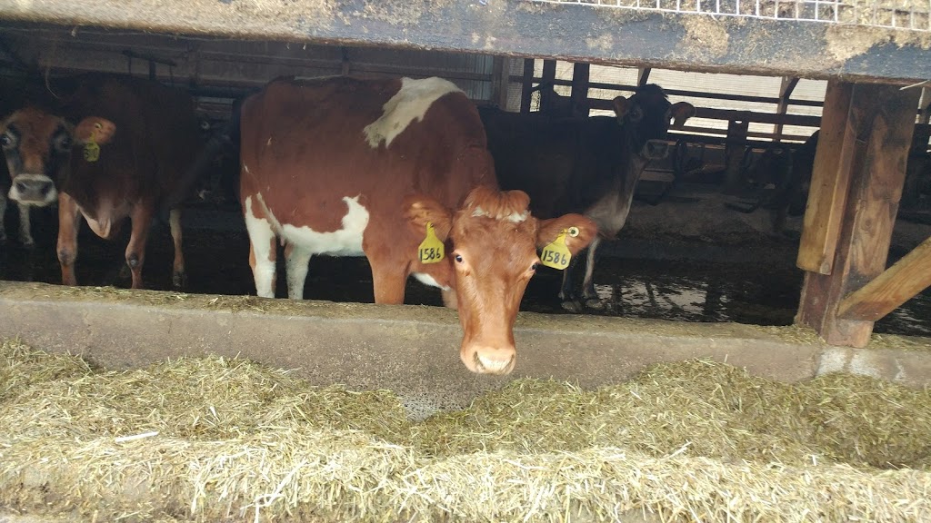Grace Harbor Farms | 2347 Birch Bay Lynden Rd, Custer, WA 98240, USA | Phone: (360) 366-4151