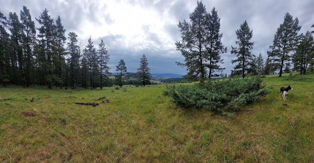 Churn Creek Protected Area | Highway 97, Gang Ranch, BC V0K 1N0, Canada | Phone: (800) 689-9025