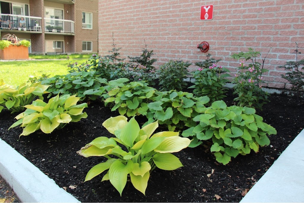Entreprise Marco Lambert | 3732 Rue St Maxime, Québec, QC G2A 3A1, Canada | Phone: (581) 991-8179