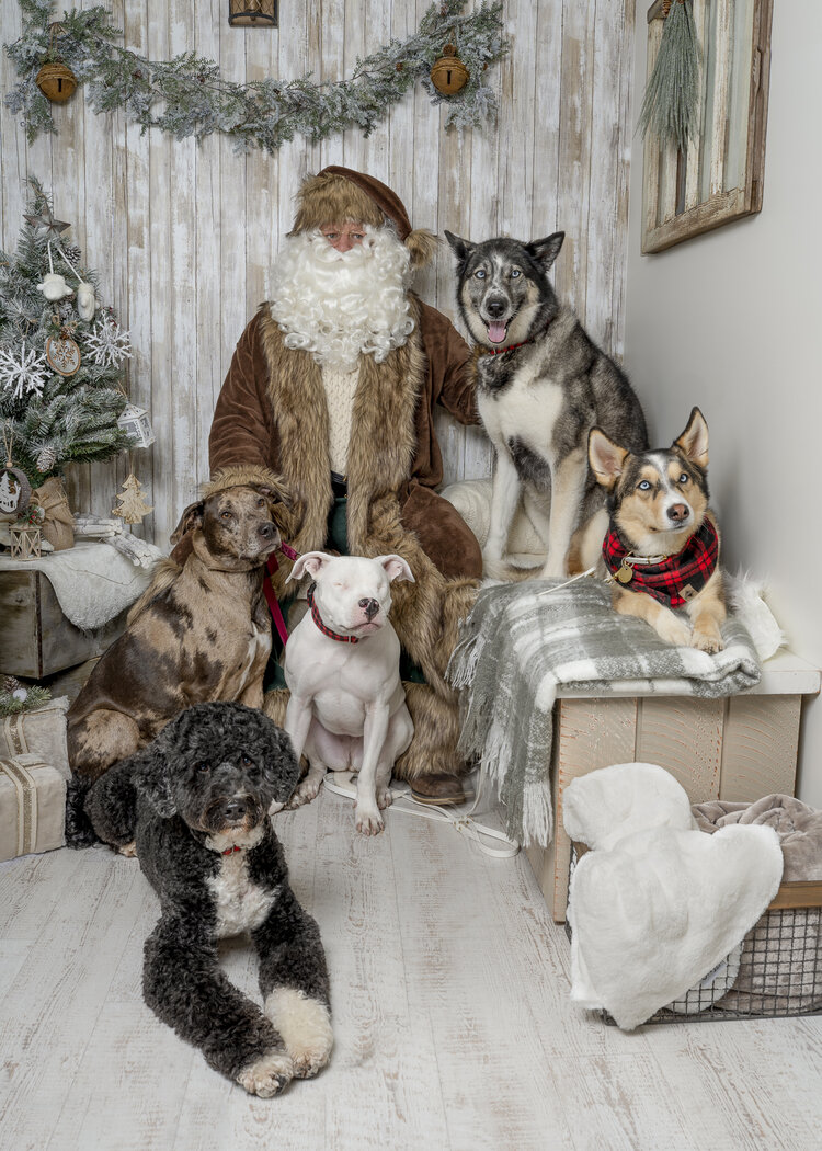 The Barn Door Veterinary Care | 1410 Parkway Blvd, Coquitlam, BC V3E 3J7, Canada | Phone: (604) 227-3111