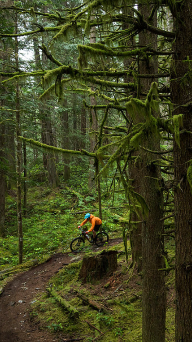 Biking In Squamish | 1861 Mamquam Rd, Squamish, BC V8B 0H5, Canada | Phone: (604) 935-2453