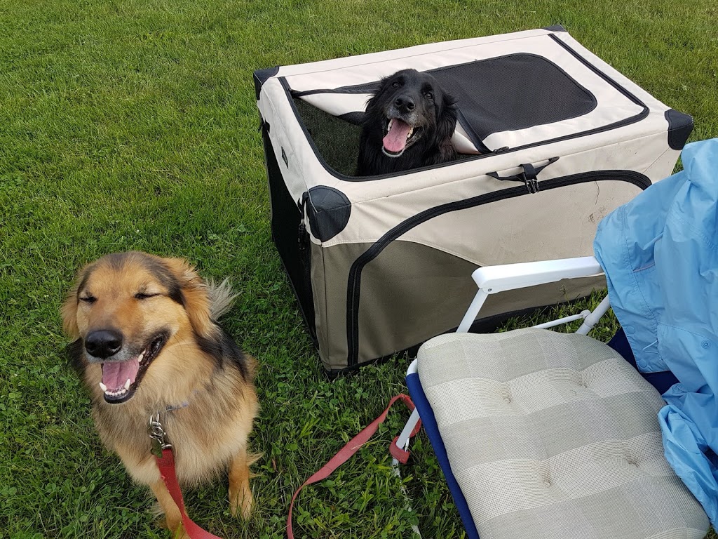 Dog Ranch Inc | 6361 Fourth Line Rd, North Gower, ON K0A 2T0, Canada | Phone: (613) 297-9871