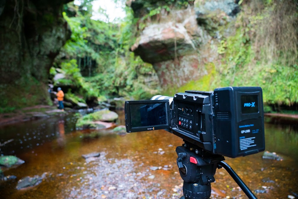 Ring Tail Films | 5606 Trelle Dr NE, Calgary, AB T2K 3V4, Canada | Phone: (780) 729-6336