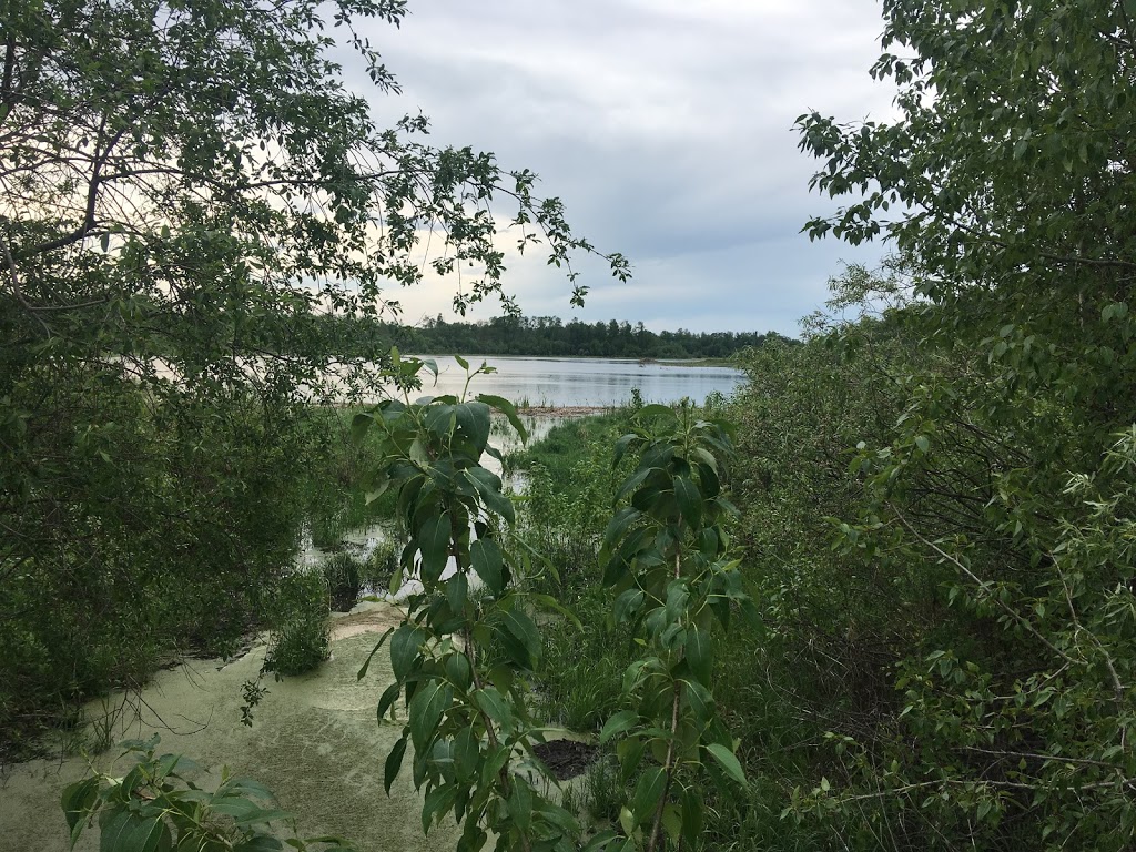 Blackfoot Lake Staging Area | Sherwood Park, AB T8G 1G2, Canada | Phone: (780) 922-3293