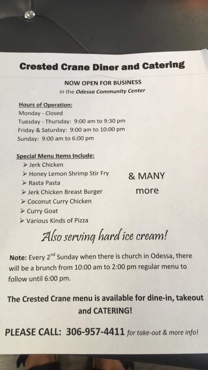 Renie Anns At Odessa | 104 1st Ave, Odessa, SK S0G 3S0, Canada | Phone: (306) 957-4411
