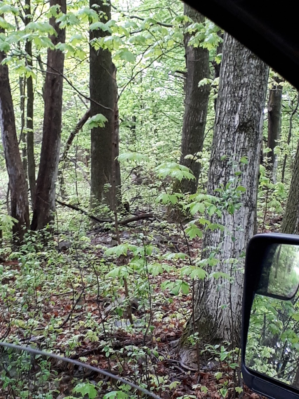 Accommodating Bay Trailer Park & Camp Ground | R.R. #2 505 Morrison Pt. Road, Milford, ON K0K 2T0, Canada | Phone: (613) 476-4734