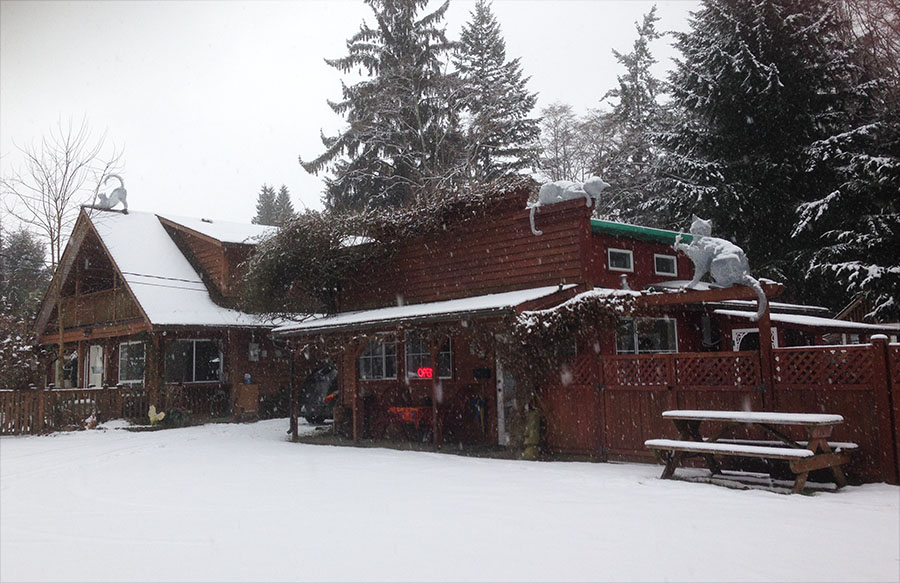 Comfy Cat Boarding Kennel | 5320 Island Hwy W, Qualicum Beach, BC V9K 1Z2, Canada | Phone: (250) 757-9991