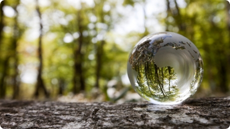 Ferro Environmental - Professional Abatement and Remediation | 955 Alliance Rd Unit 2, Pickering, ON L1W 3M8, Canada | Phone: (905) 841-8108