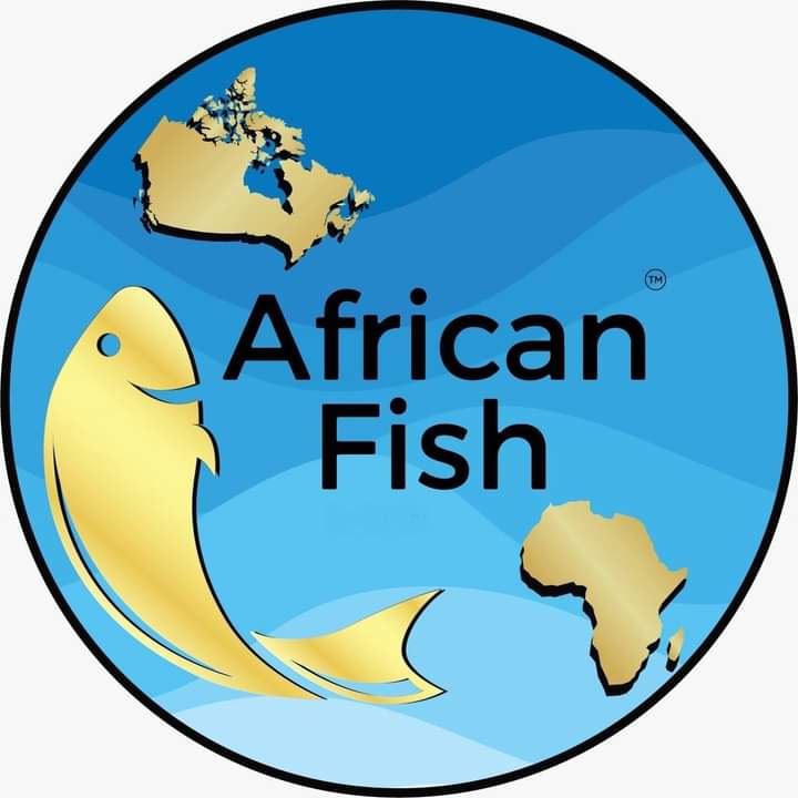African fish | 1522 Rue Jean-Lachaîne, Sainte-Catherine, QC J5C 1C2, Canada | Phone: (581) 745-2579