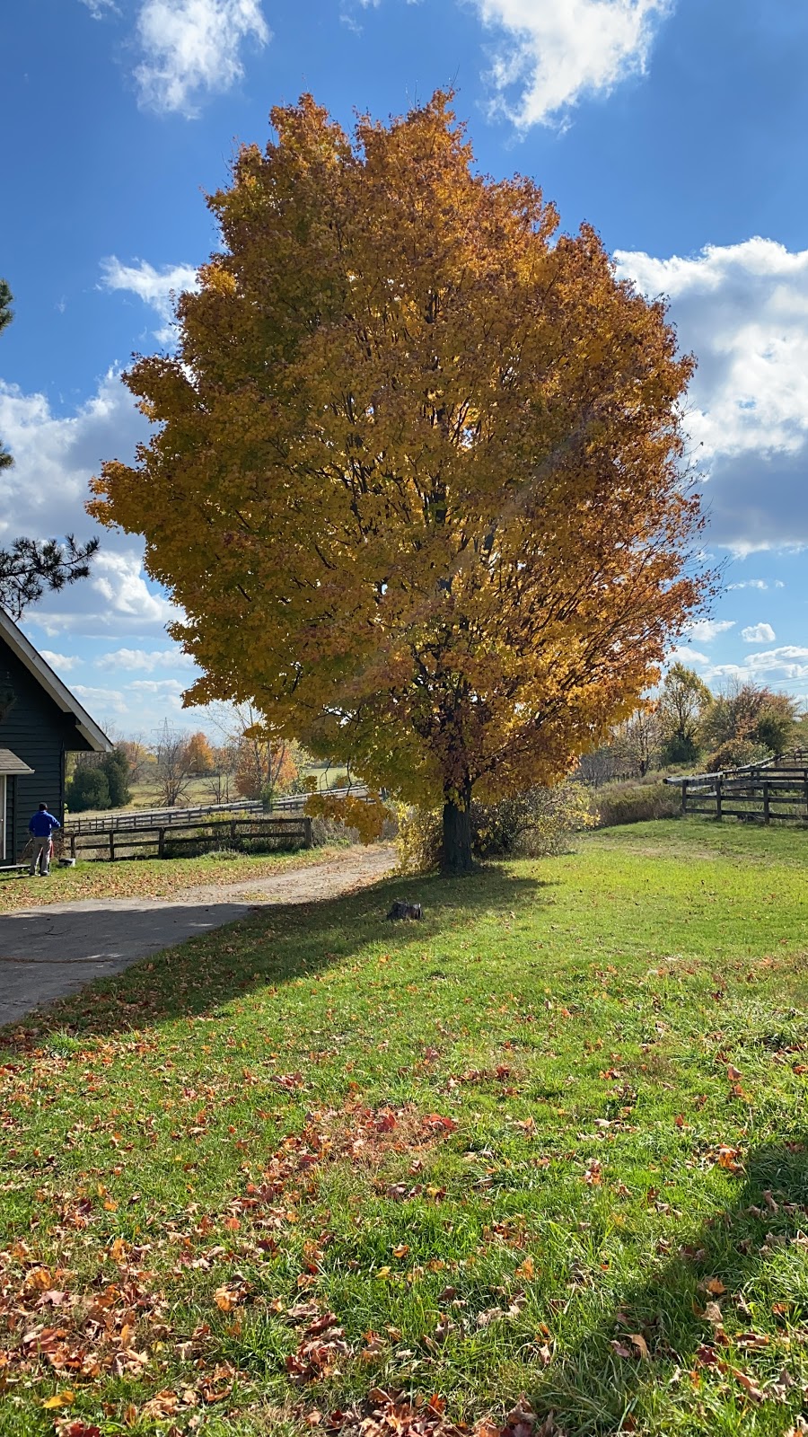 Eli Farms and Equestrian Club | 7345 Concession 1, Puslinch, ON N0B 2J0, Canada | Phone: (226) 343-2444