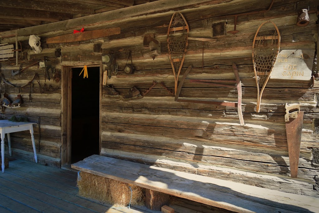 Horton Tree Farm | 5859 Slaters Rd, Gormley, ON L0H 1G0, Canada