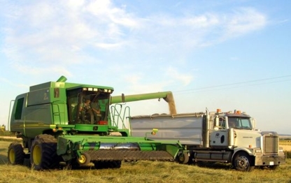 Sunshine Seeds Ltd | 223055 AB-5, Magrath, AB T0K 1J0, Canada | Phone: (403) 758-3444